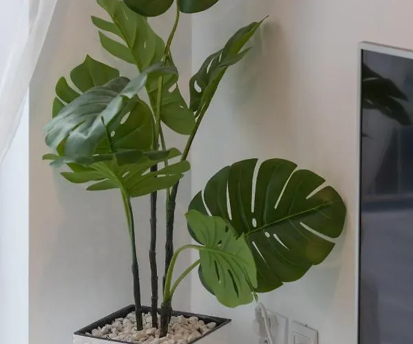 Kapitanski Mostek By Renters Apartamento